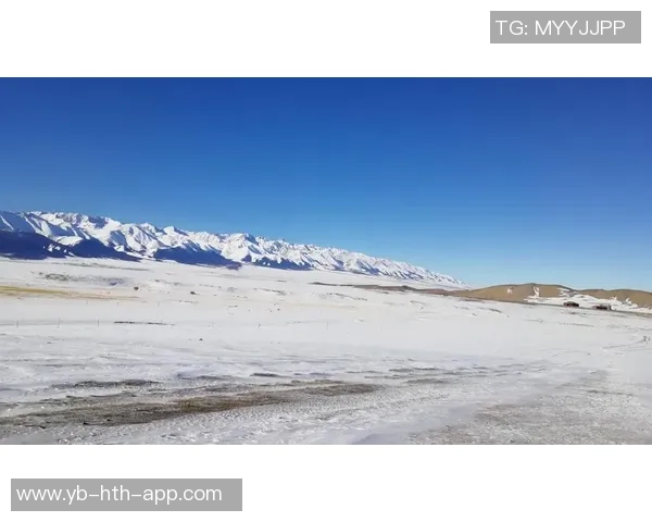 芬奇谈篮球哲学：克服自我挑战才能展现最佳表现